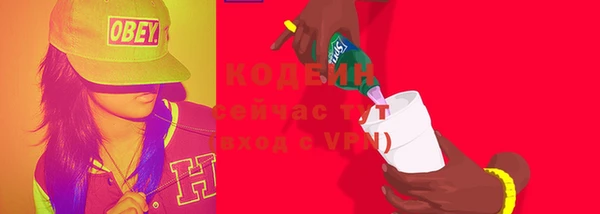 молекула духа Каменка