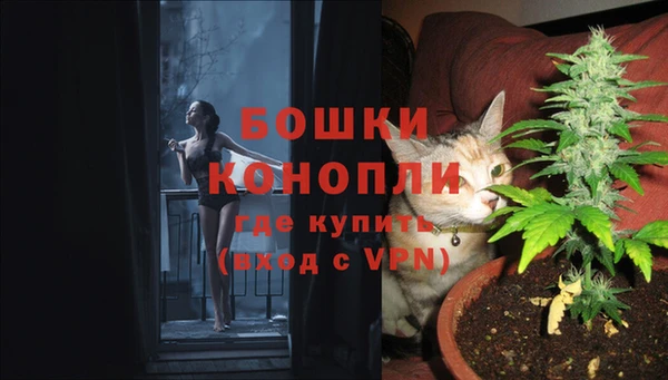 молекула духа Каменка