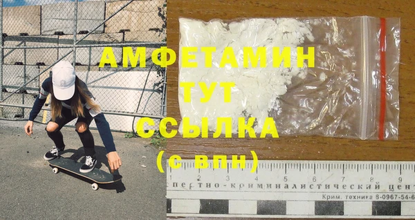 молекула духа Каменка