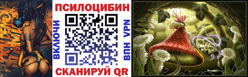 дарнет шоп  Юрьевец  Псилоцибиновые грибы Psilocybine cubensis 